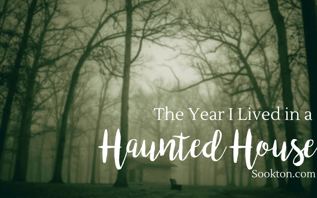 The Year I Lived in a Haunted House