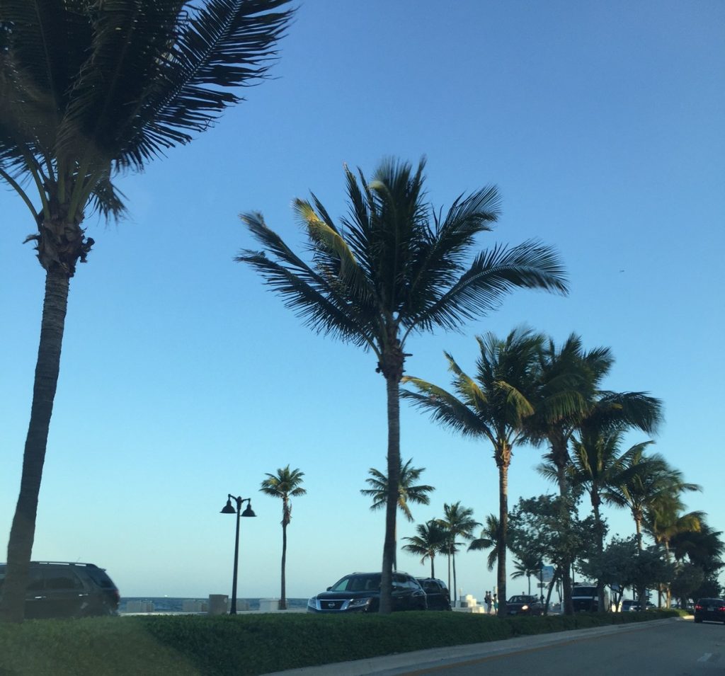The Journey W Hotel Fort Lauderdale