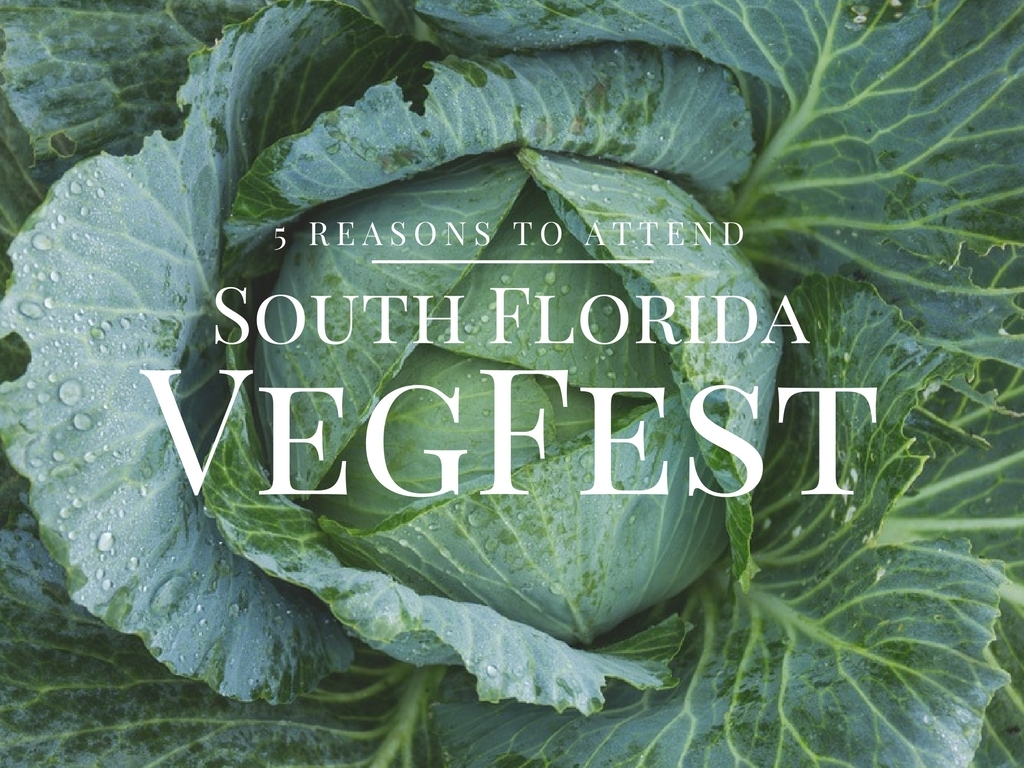 5 Reasons to Attend South Florida VegFest