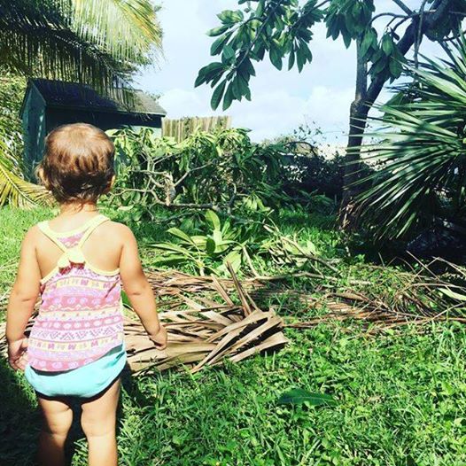 Hurricane Irma: Why I Stayed in Florida