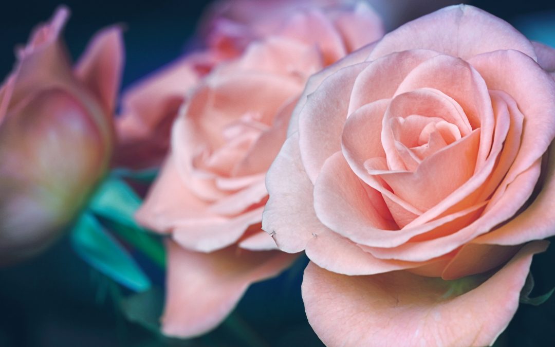 5 Spiritual Practices to Help You Stay Calm During the Coronavirus